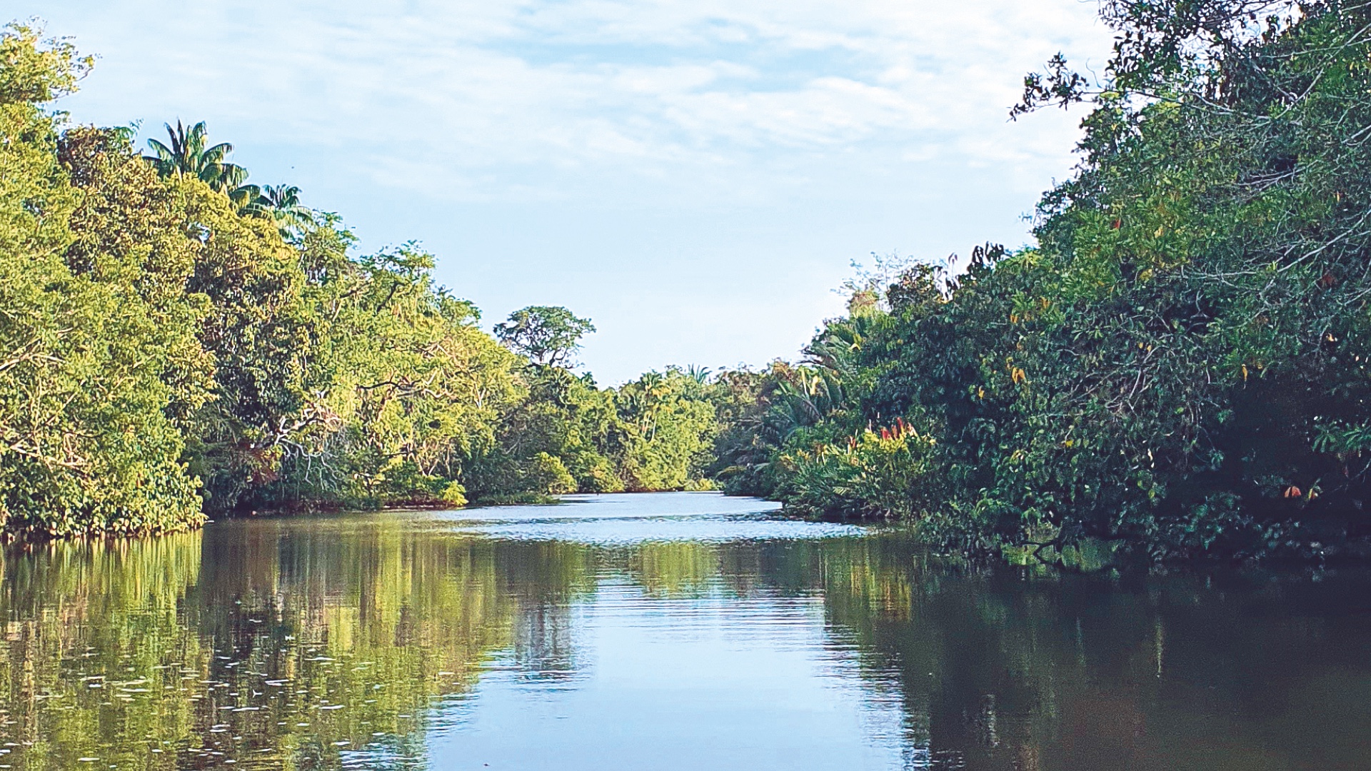 Sabah%205d%20gallery