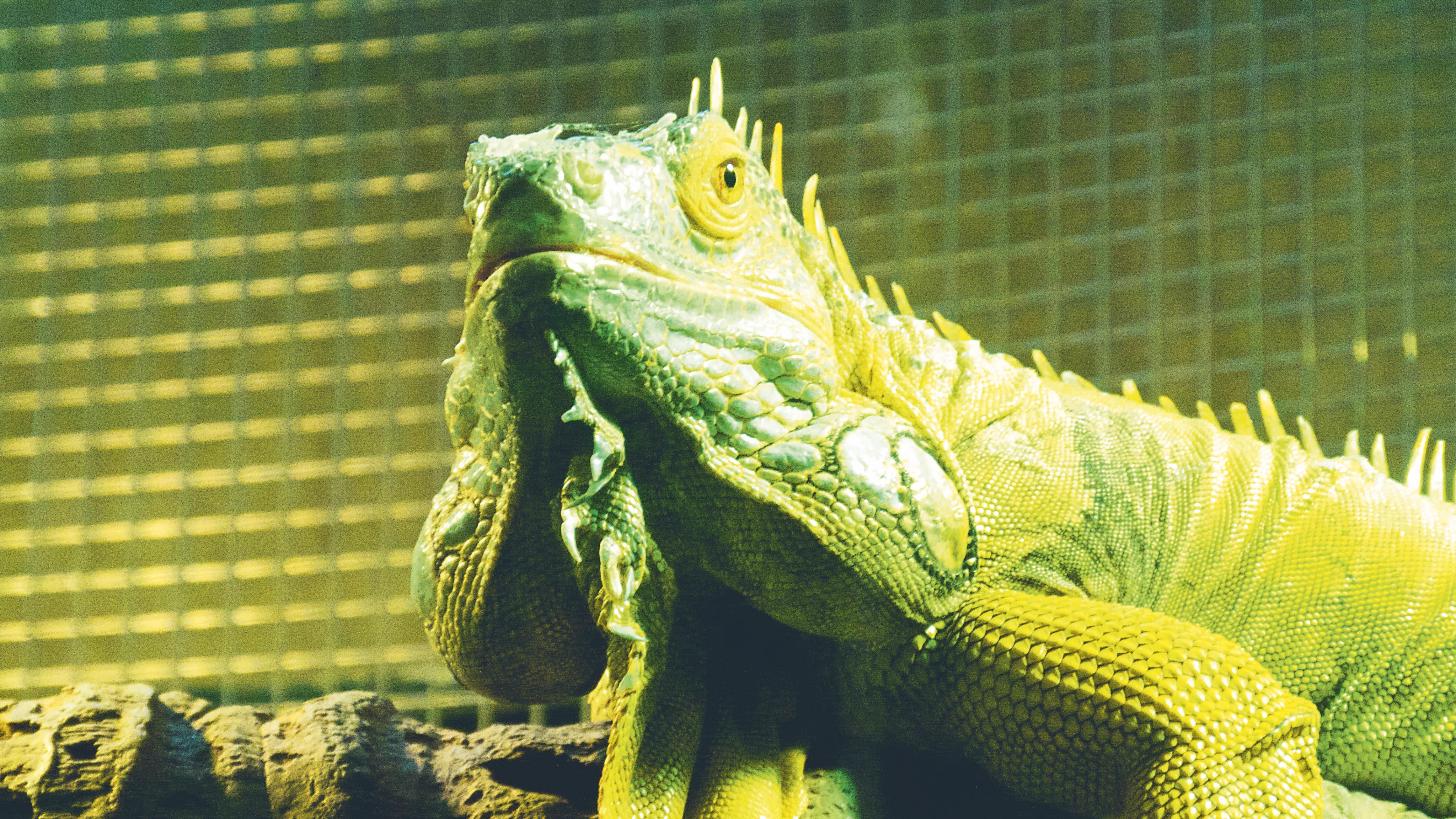 Sydney%202c%20gallery