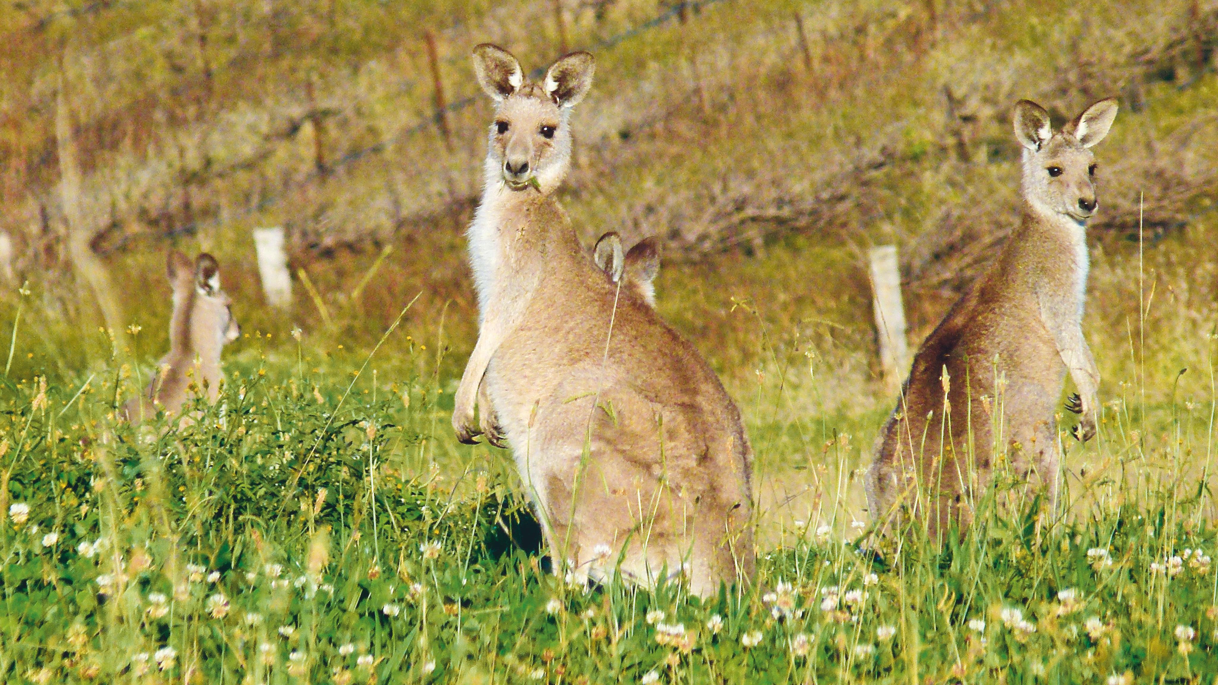 Sydney%202d%20gallery