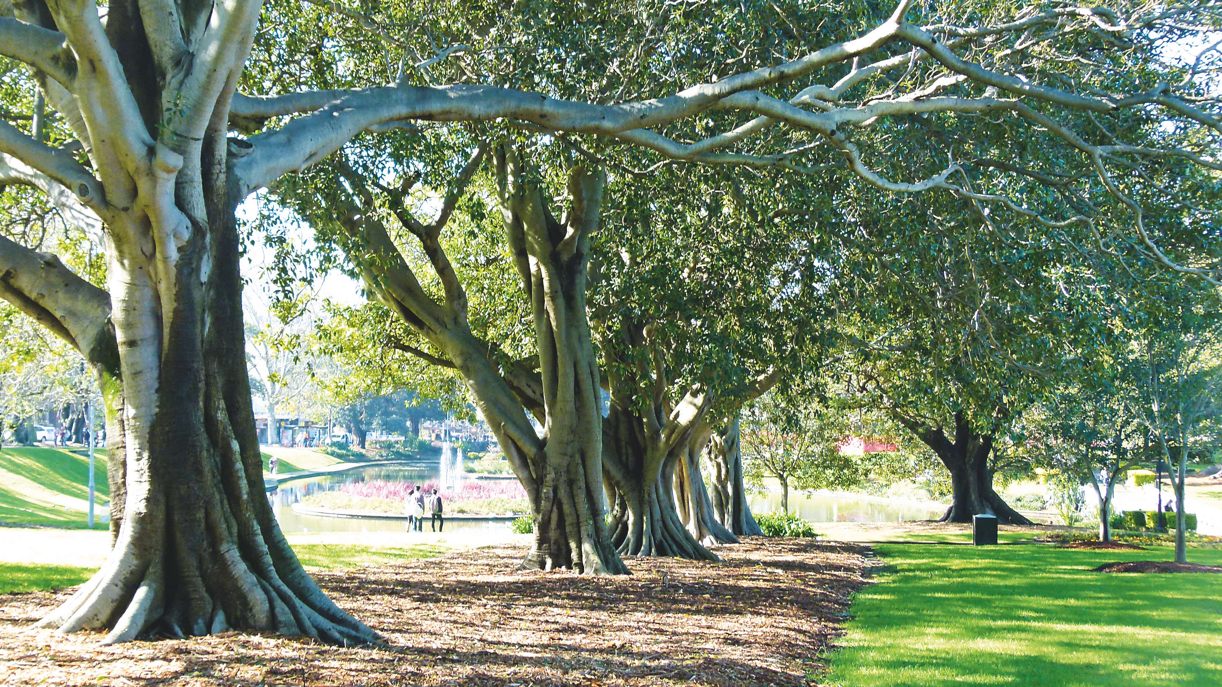 Sydney%205a%20gallery