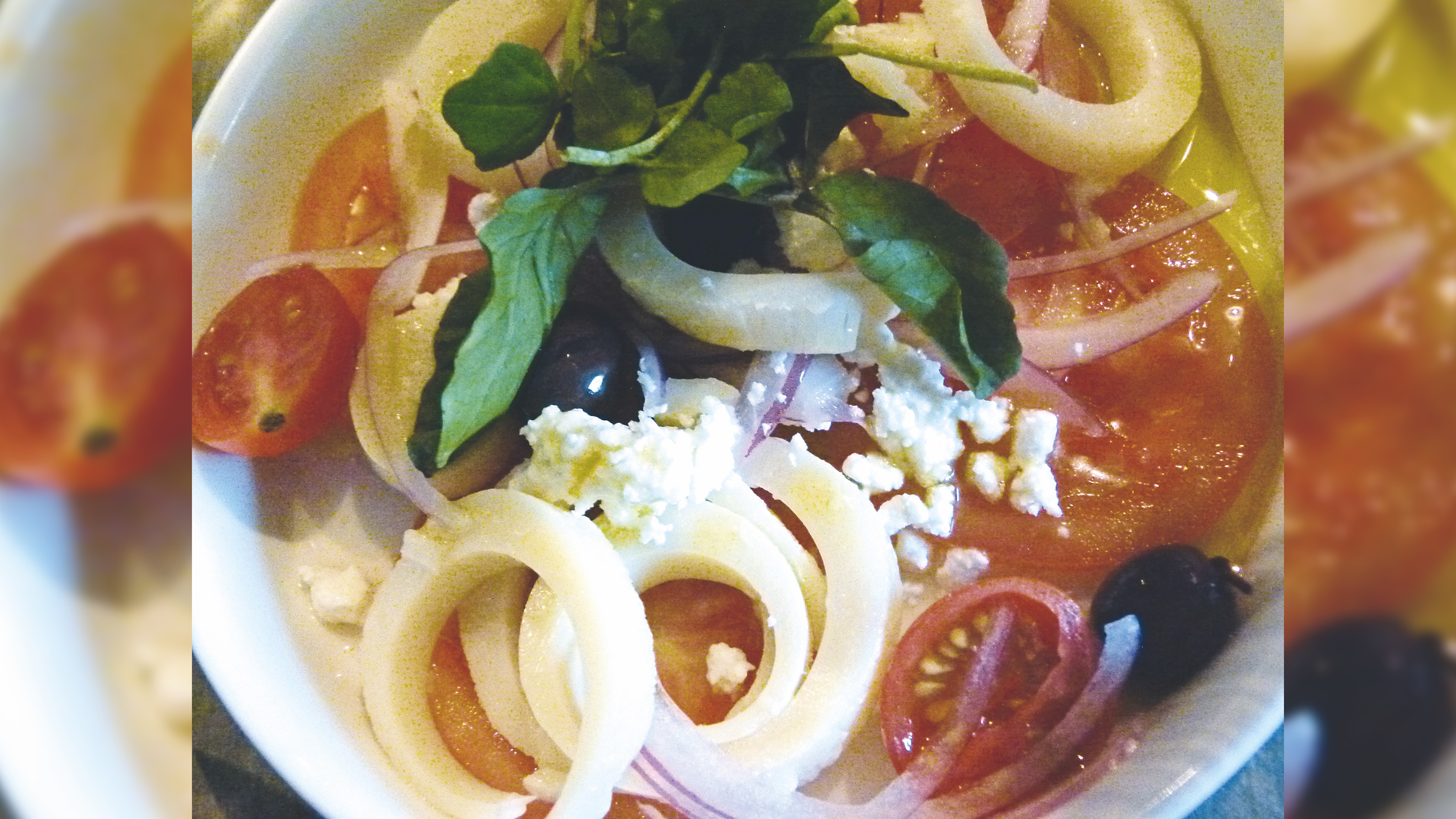 Sydney%205c%20gallery