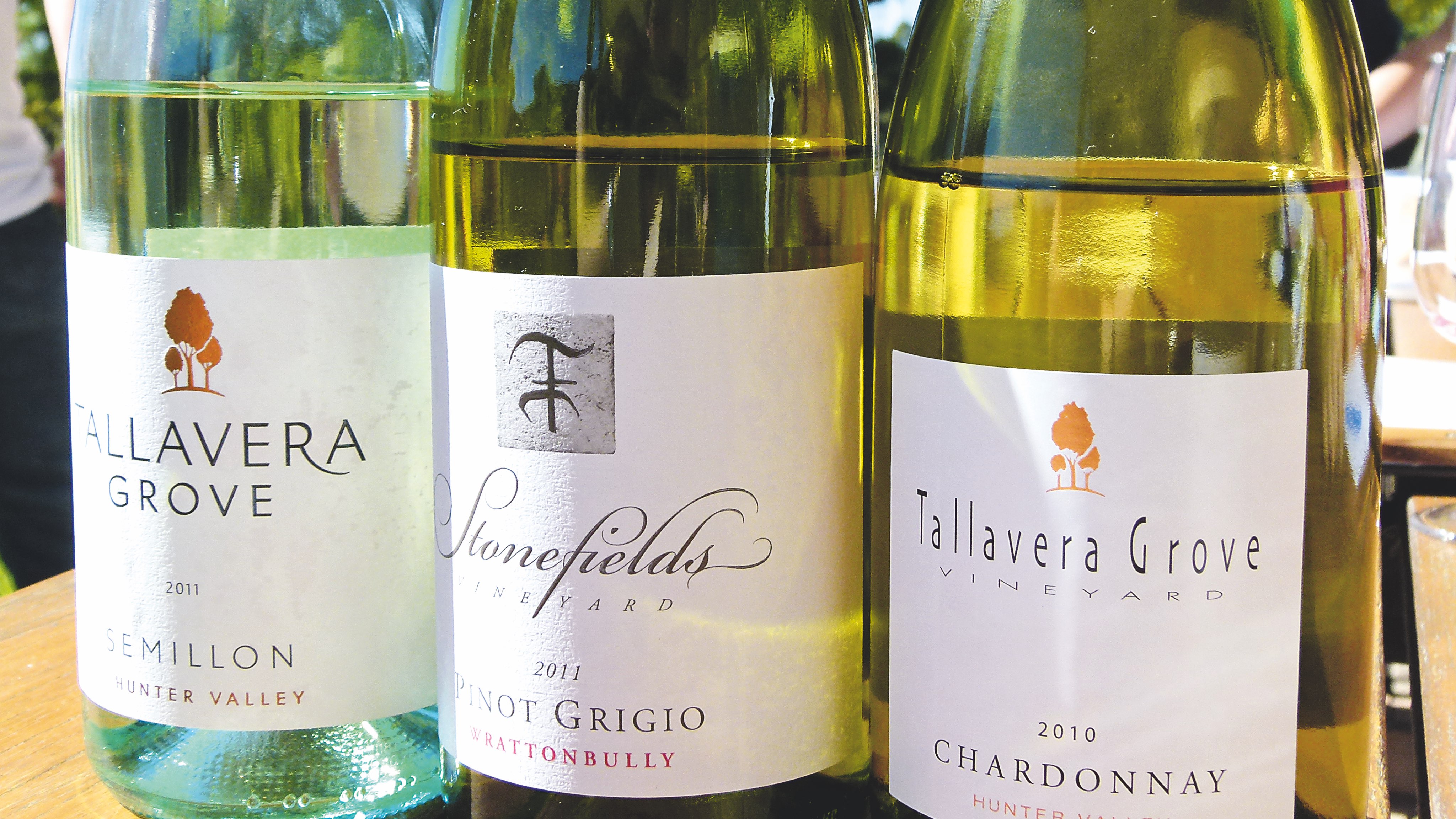 Sydney%206c%20gallery