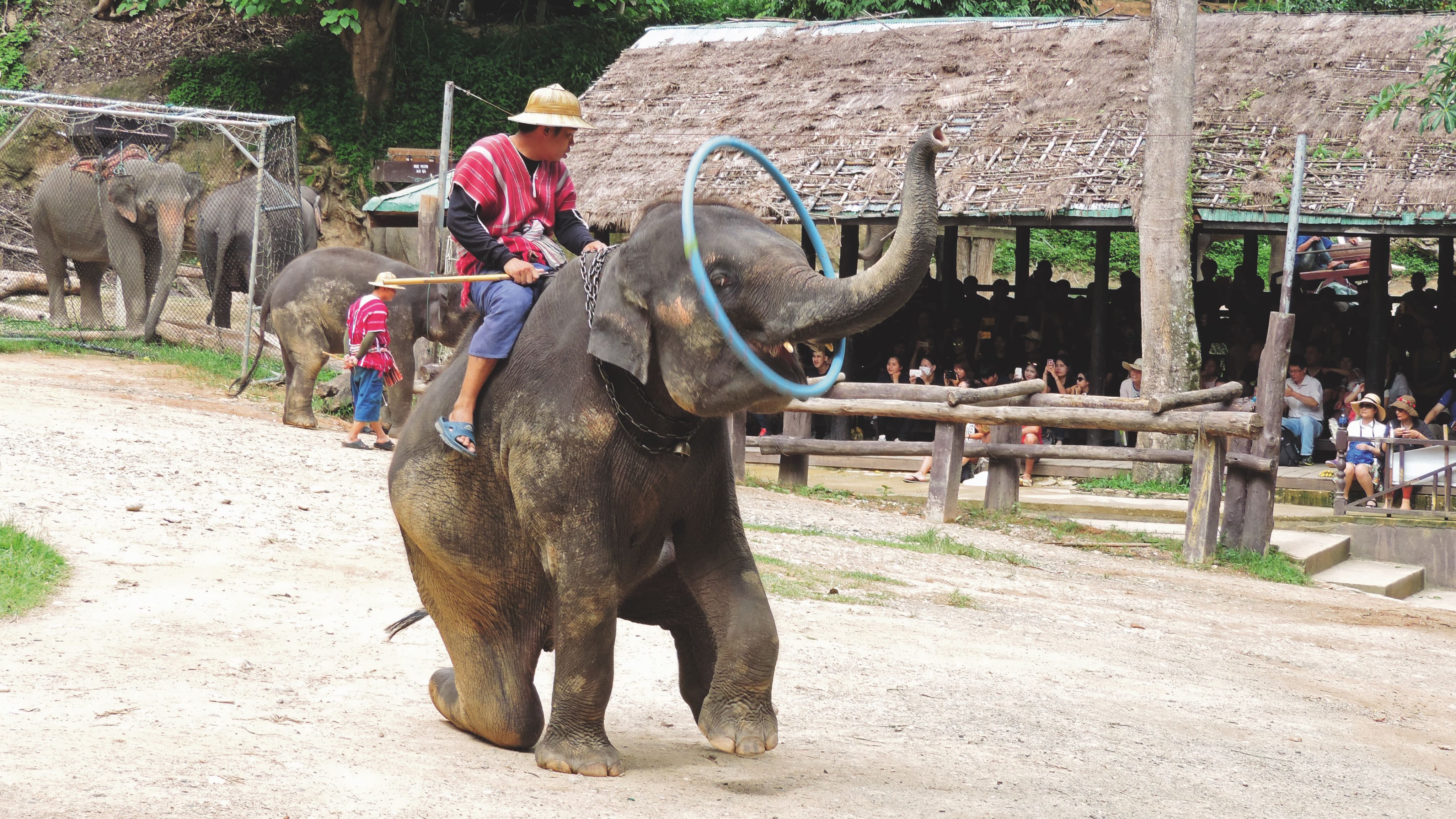 kaohsiung%2003122018 81