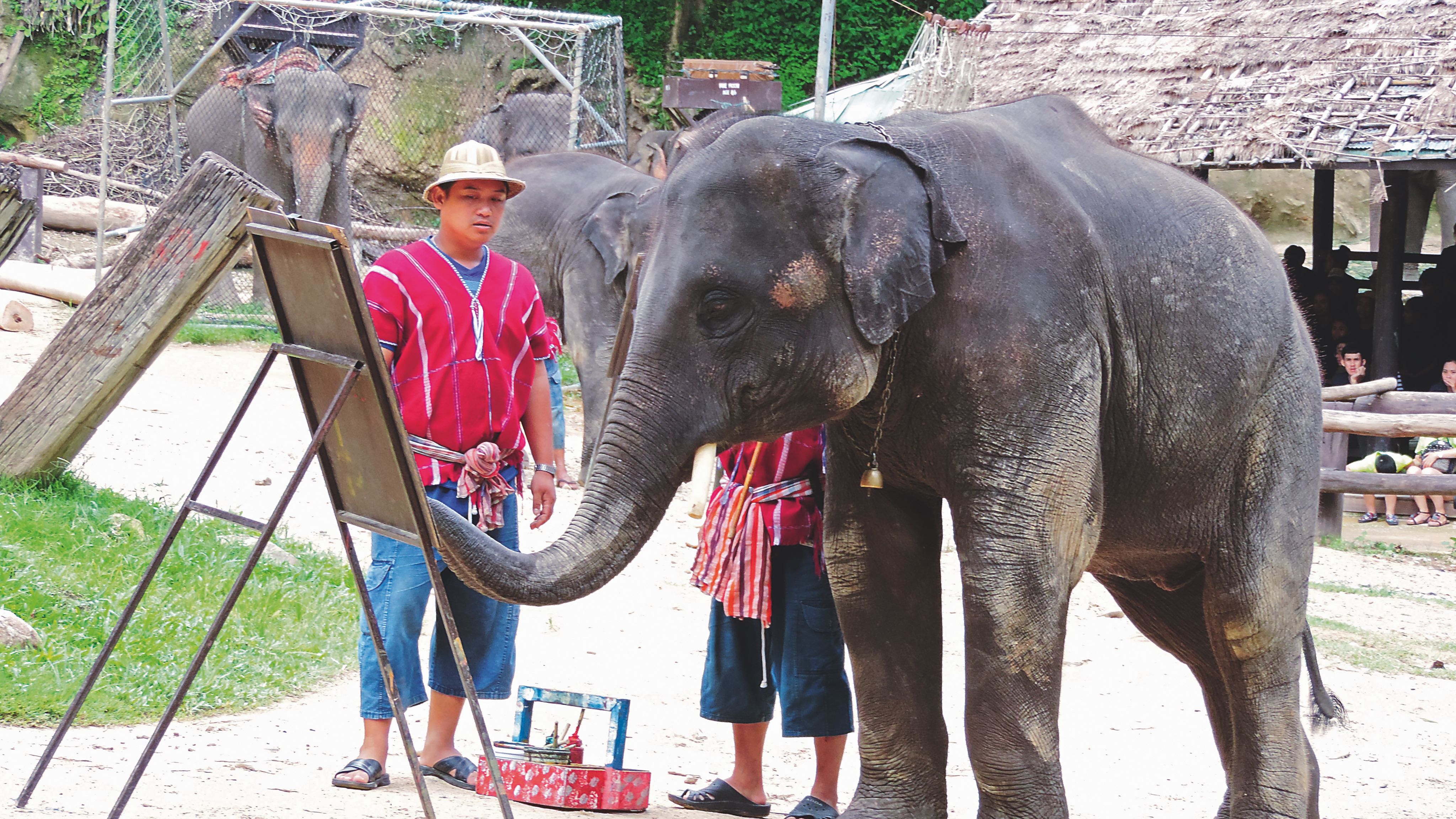kaohsiung%2003122018 83