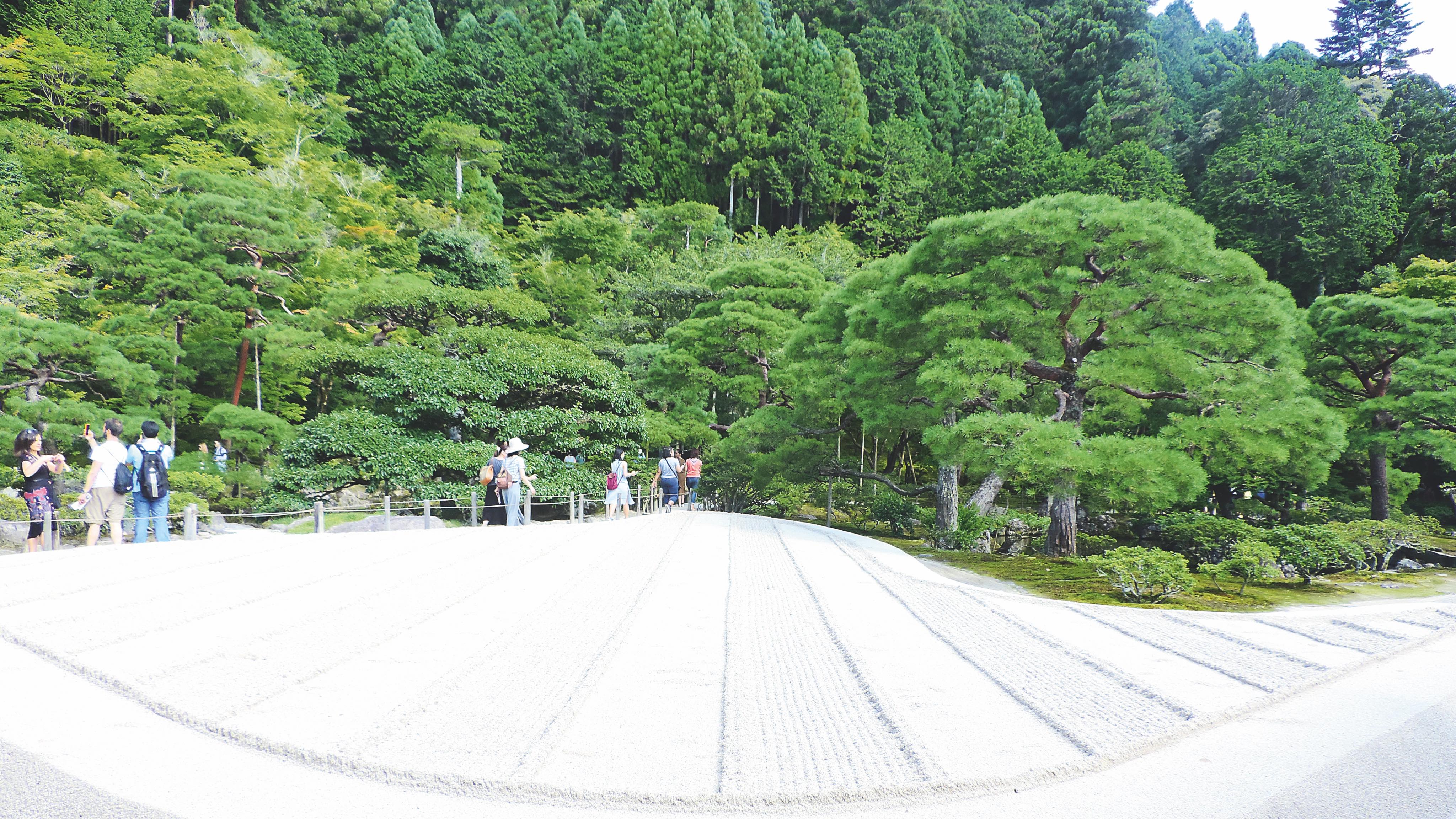 kaohsiung%2003122018 48