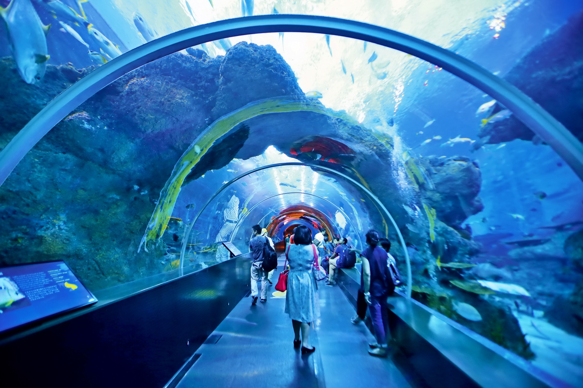 singapore%207