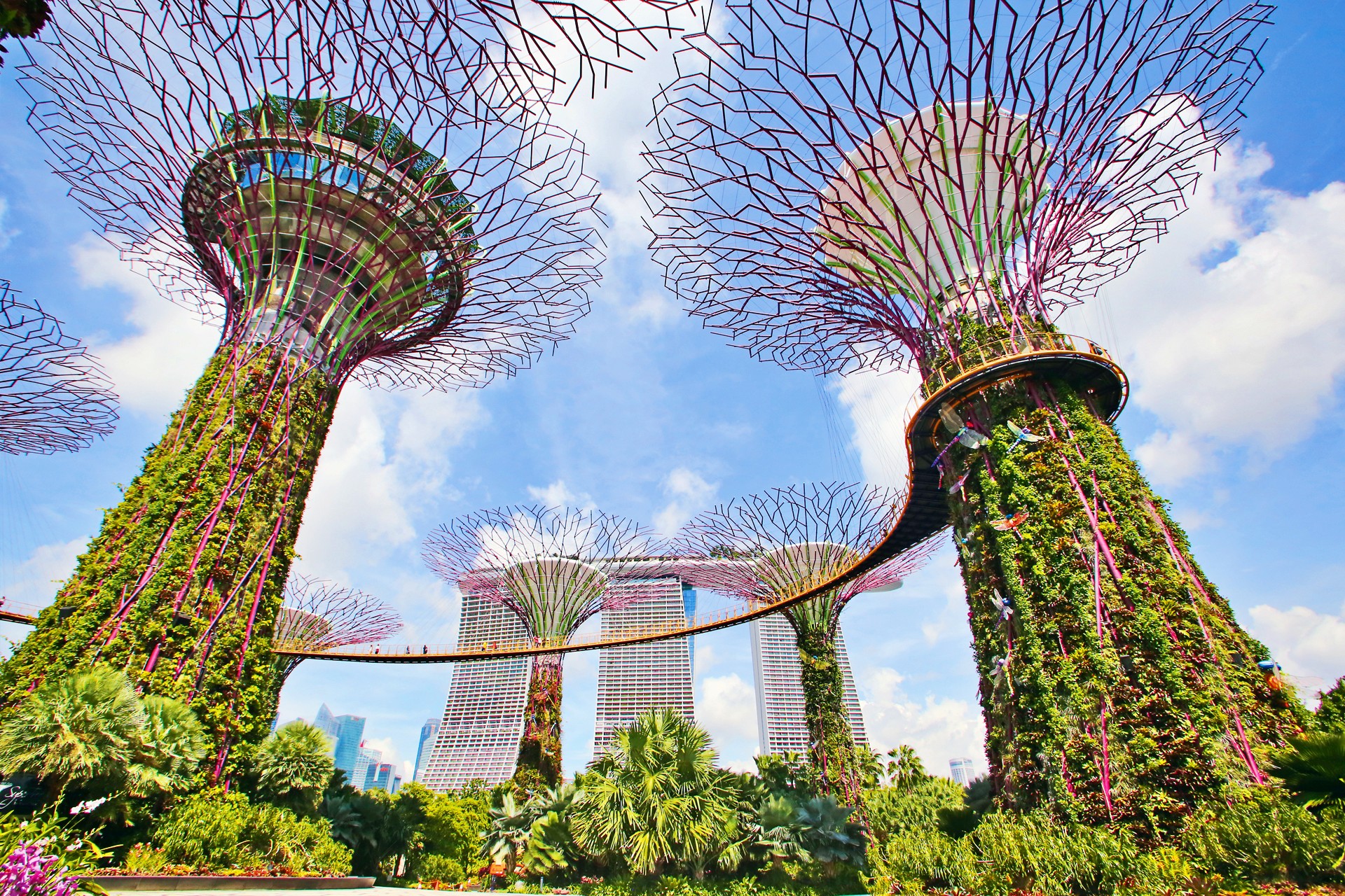 singapore%20cover%202