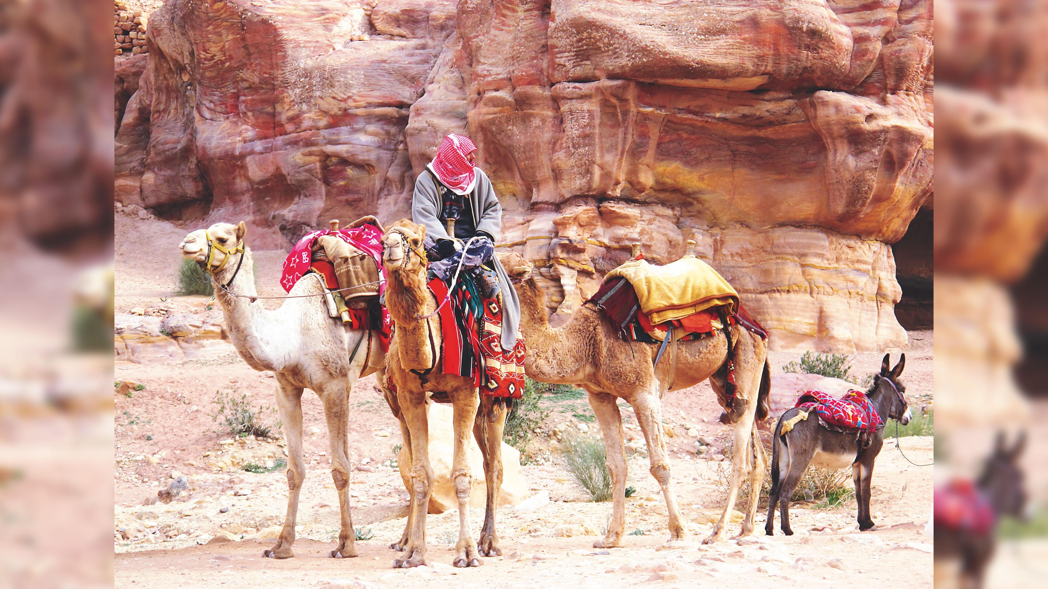 Photo%2012%20petra